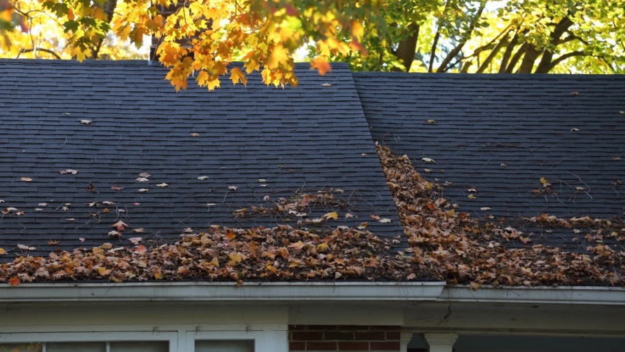 Rooftop with gutters filled with leaves